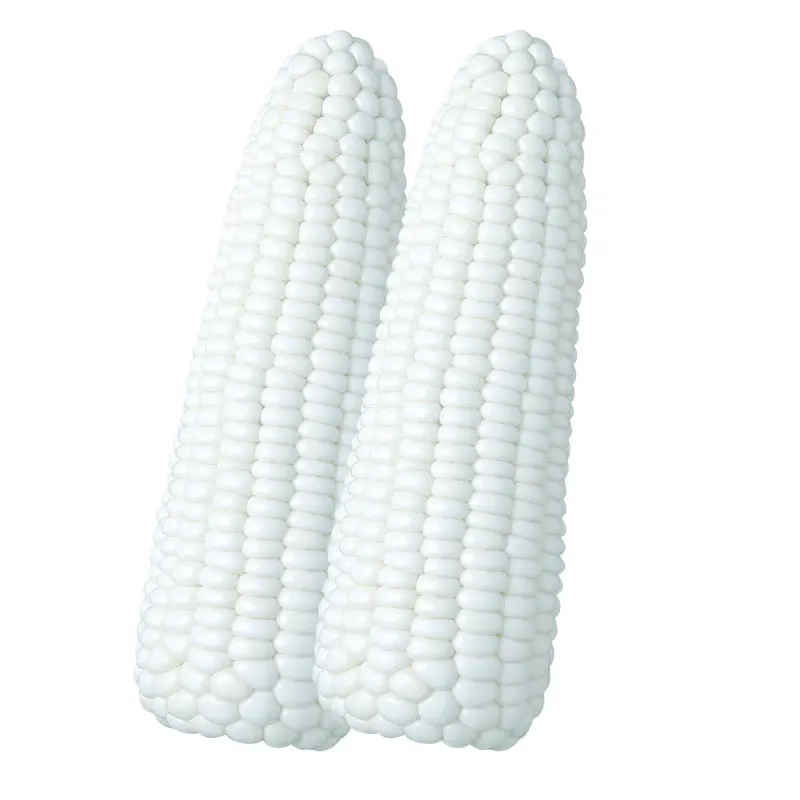 
Hybrid high quality white sweet glutinous corn seeds for planting 