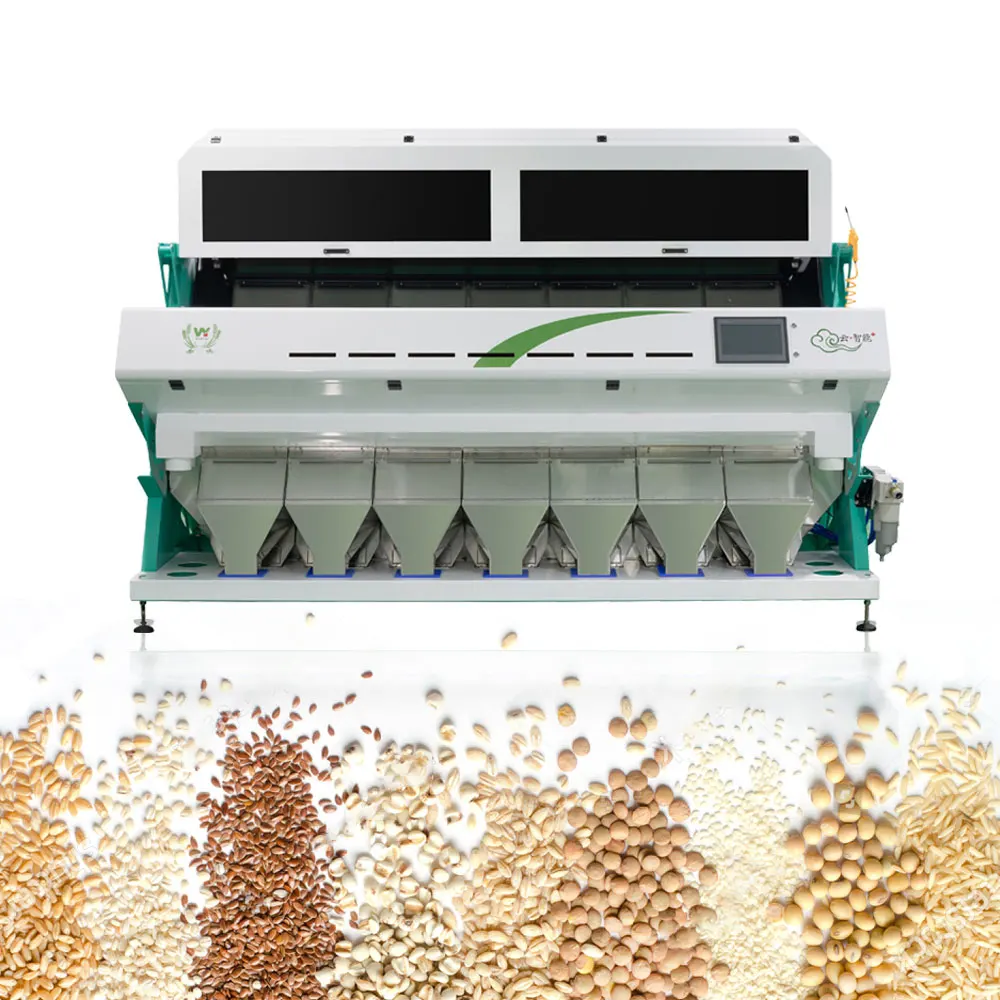 Colour sorter corn maize rye quinoa color sorter sorting machine online color sorter manufacturer high capacity
