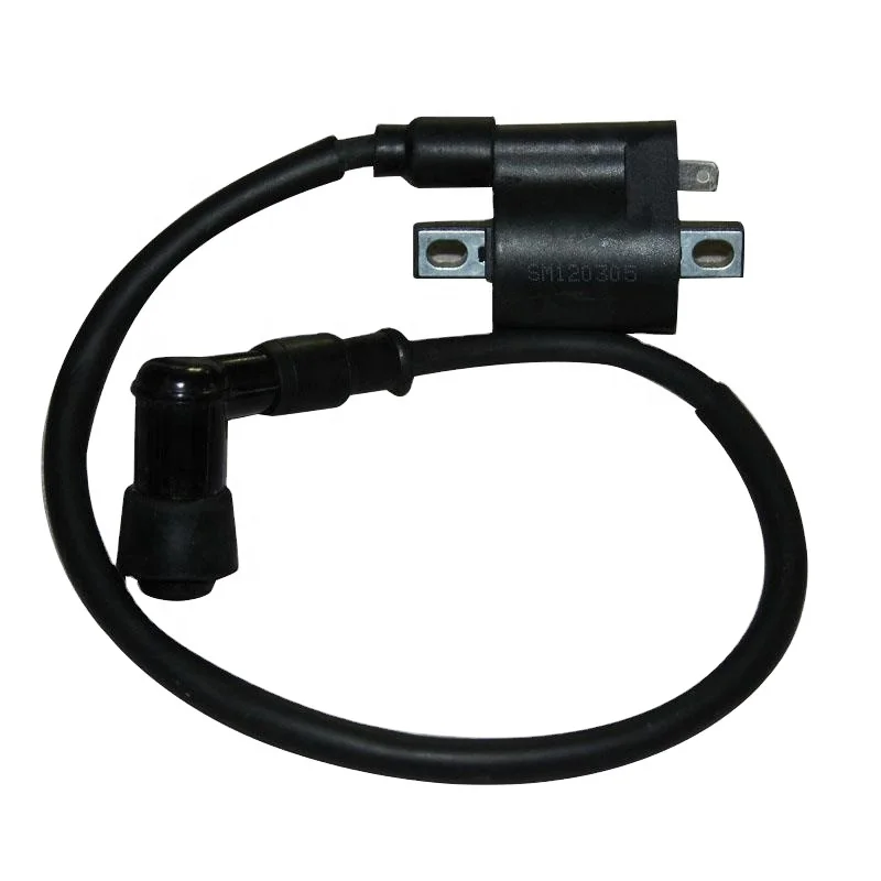 motorcycle parts Ignition coil with spark plug cap for MAX125 ML85 XLS125
