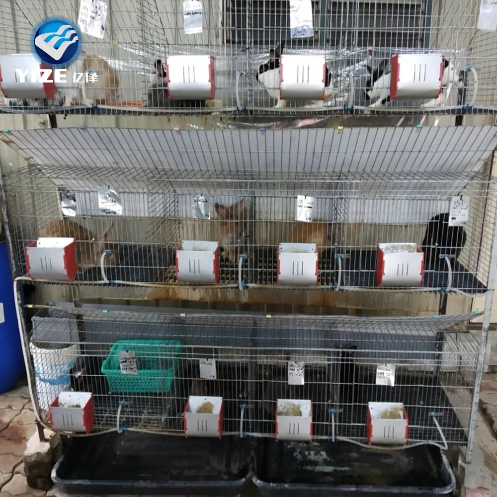 Большая емкость для яиц батареи клетки слоев коммерческих кроликов бесплатная доставка