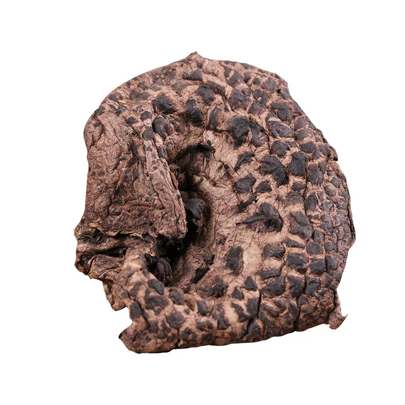 Raw precious shingled hedgehog fungus natural wild dried sarcodon imbricatus mushrooms for sale