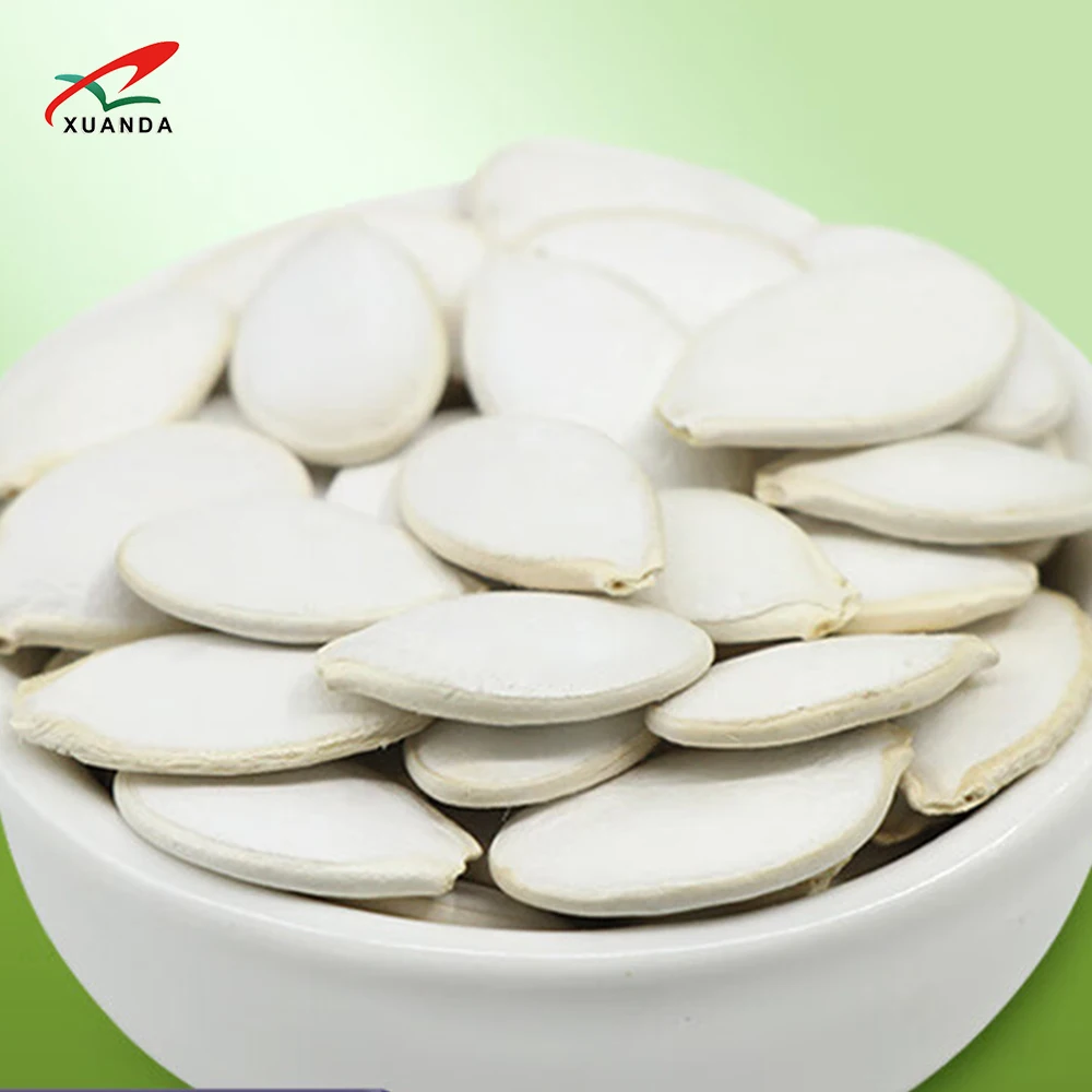 New crop Chinese Factory Supply High Quality Snow White Squash Seeds Large Size 11mm 100% Fresh Raw Pumpkin Seeds