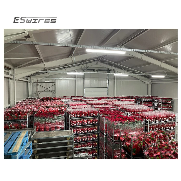 Greenhouse galvanized adjustable detachable storage transport flower plant nursery rack on wheels