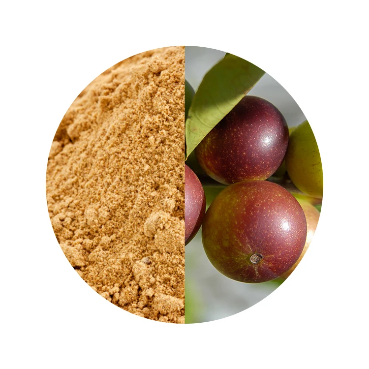 Vitamin C Dietary Supplement Powder Freeze Drying Camu Camu Powder Functional Herb Extract Powder