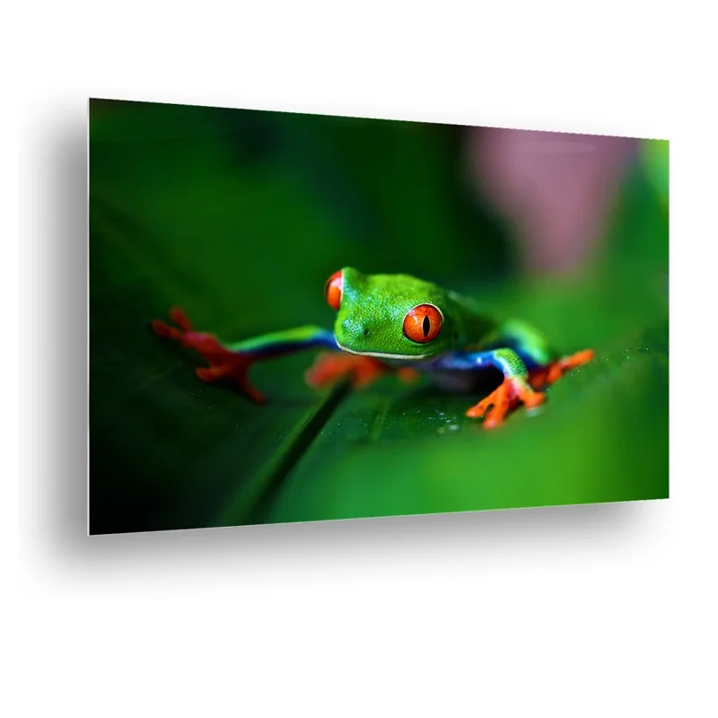 metal print 015.jpg