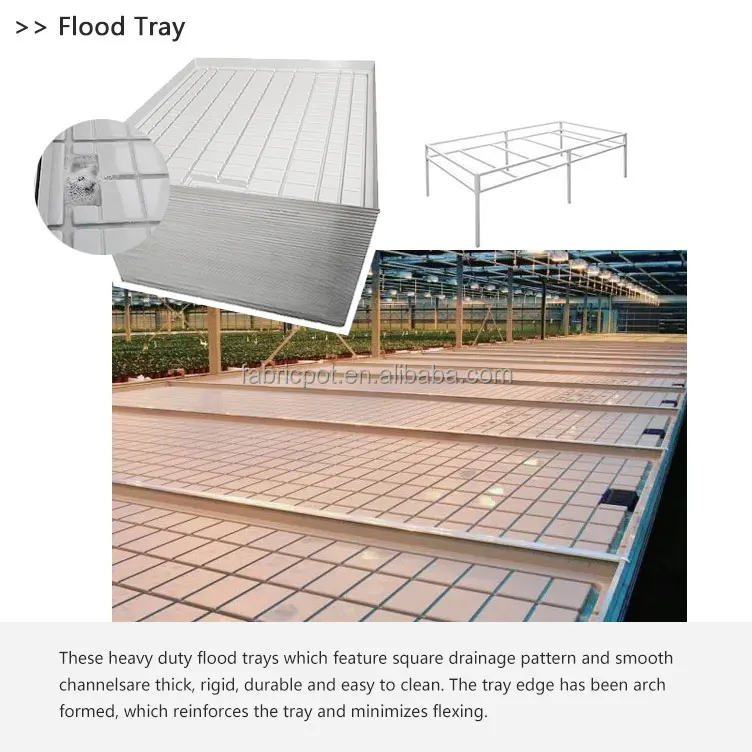Vacuum Forming Thermoforming Mold ABS Flood Plastic Planting Trays for Multi-Span Agricultural Greenhouses