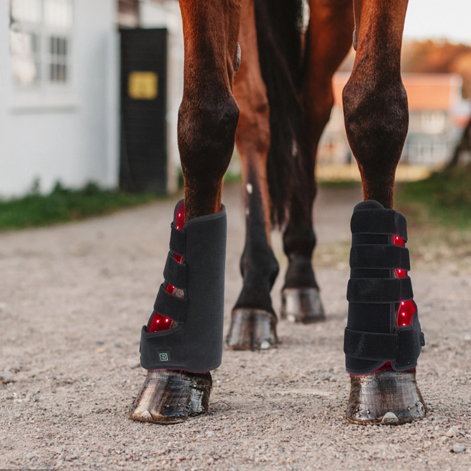 Factory Wholesale Custom Logo Blue NIR Equine LED Therapy Pain Relief Red Light Therapy Horse