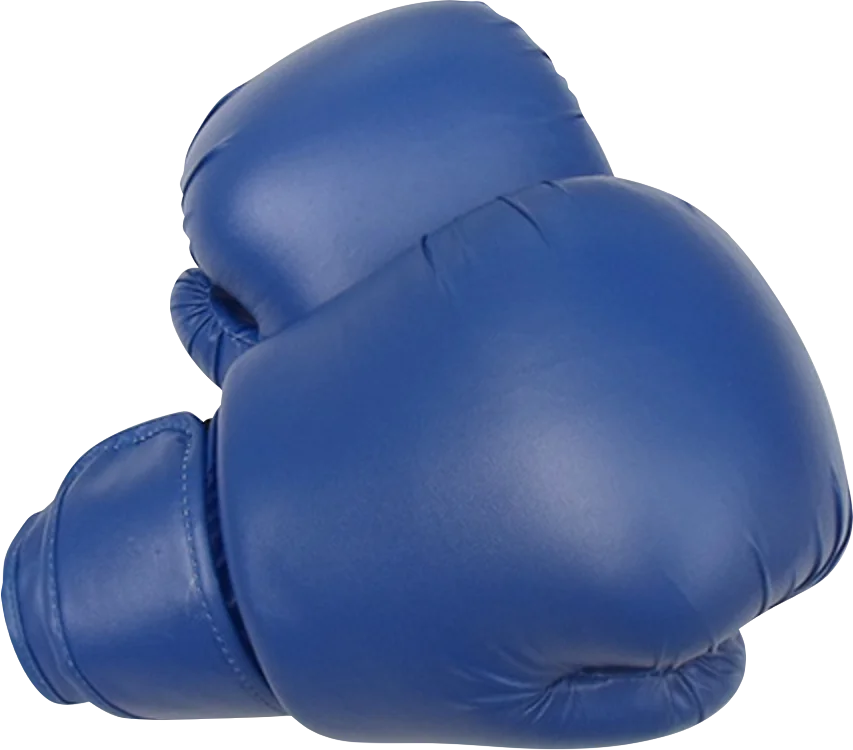 High Quality Custom Printed Colorful MMA Boxing Gloves MMA Gloves