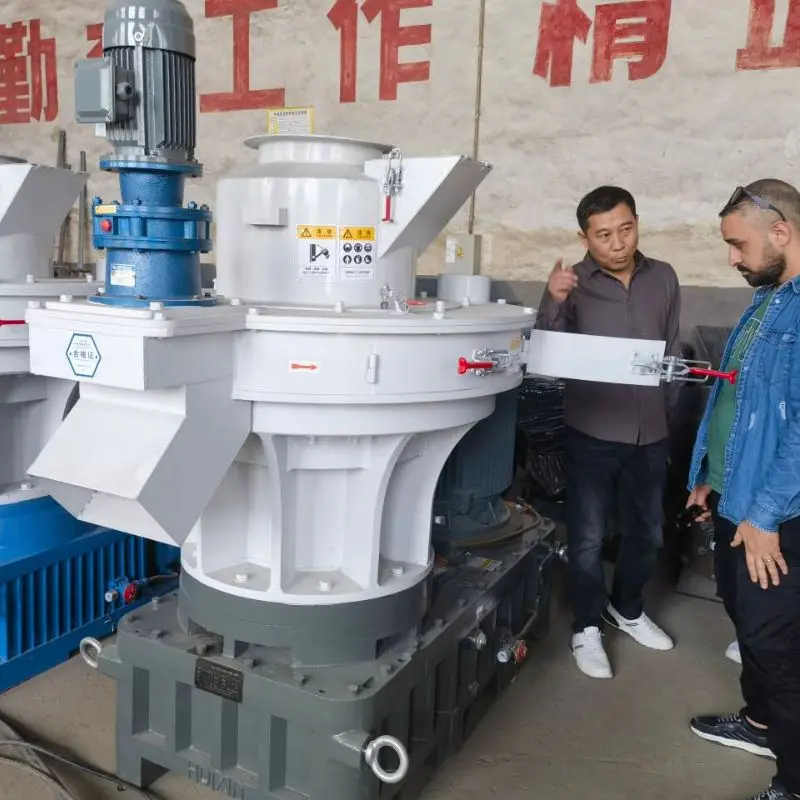 Highly Acclaimed Large Hard Wood Rice Husk Biomass Ring Die Pellet Machine for Pelletizing Biofuel,Agricultural Waste,Rice Husk