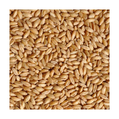 
Russian Organic Winter / Spring Soft Wheat Grains 