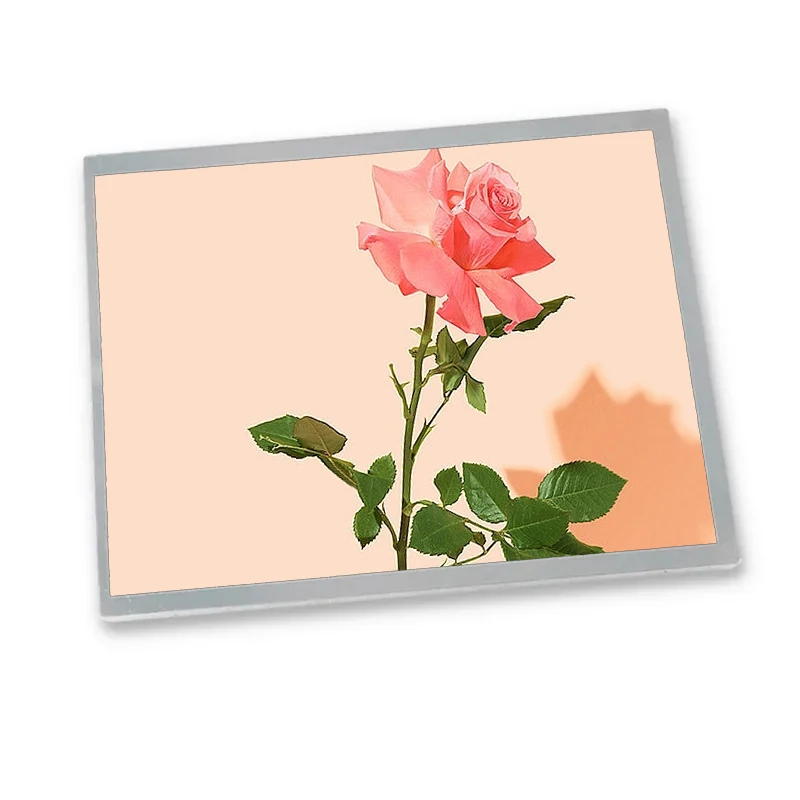 NL10276BC20-12 lcd screen 10.4 inch 1024*768 Clear TN 20 pins  tft lcd display module tft lcd panel