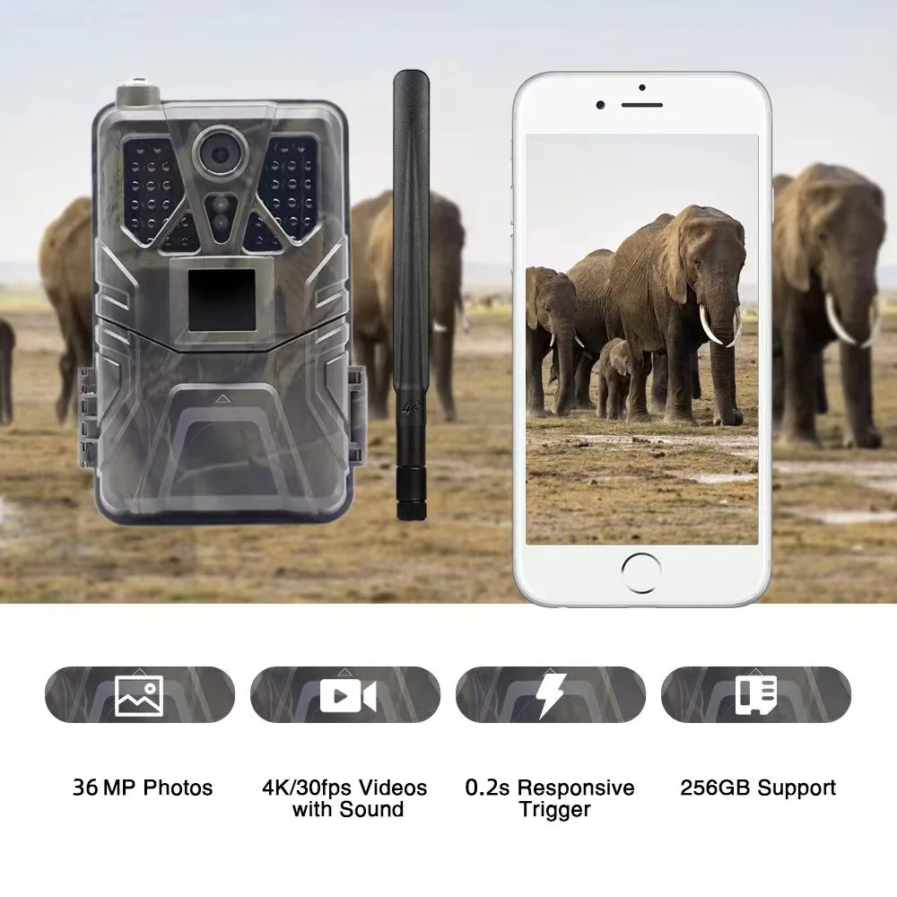 EcoView Long-Lasting Cam Versatile 36MP Imaging with 0.3s  & Enhanced 256GB Storage