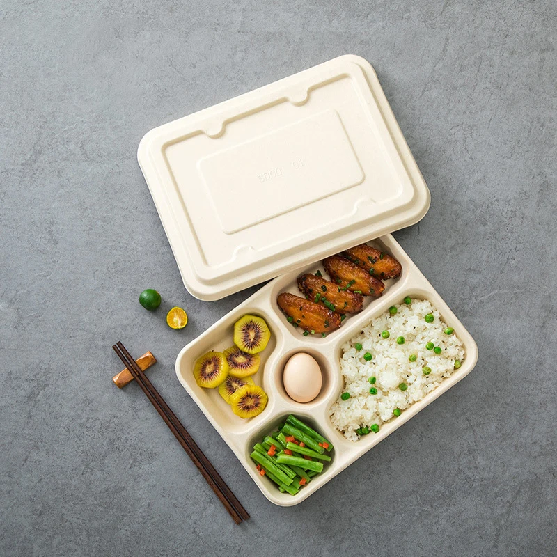 Disposable Plastic Flip-Top Lunch Box Food Containers For Microwave Heating Disposable Eco-Friendly Lunch Box