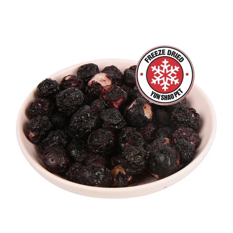 OEM  100% natural freeze drying fruit vegan dog treat MANGO wholesale in bulk and OEM packing