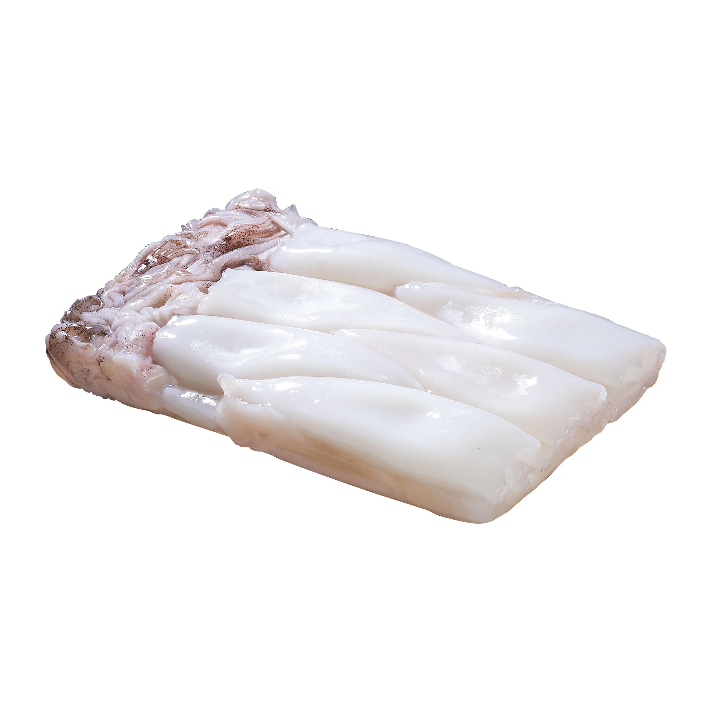 Wholesale high quality loligo squid frozen