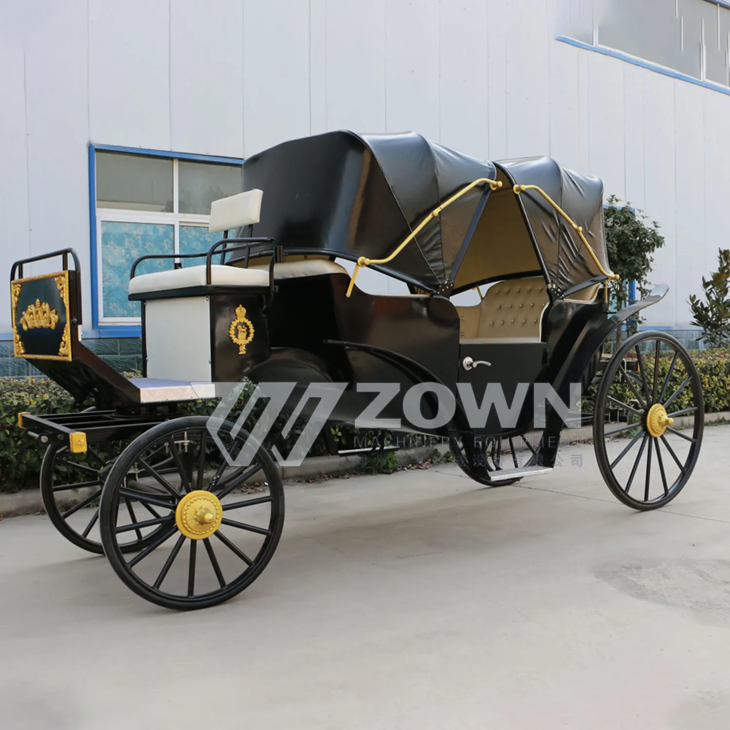 Luxury Black Sightseeing Victoria Electric/Horse-drawn Style Carriage Royal Classic Sightseeing Carriage for Sale with Lights