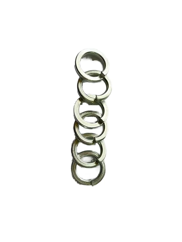Stainless Steel Spring Gasket and Washer Combo