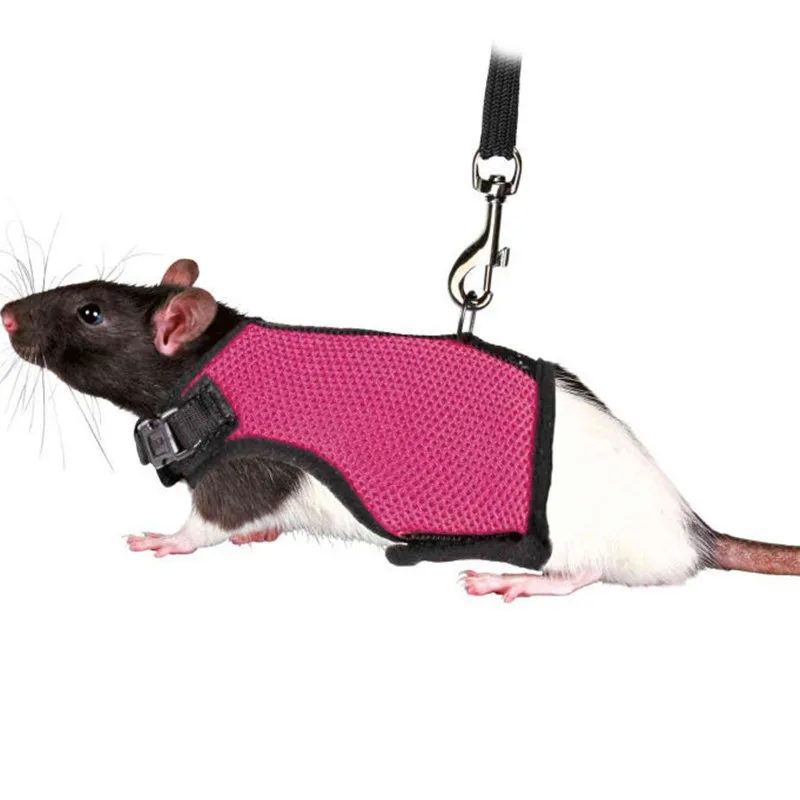 Pet Accessories Rabbit Harnesses Vest Leashes Set Small Animal Guinea Pig Hamsters Soft Mesh Harness With Leash