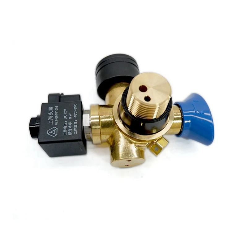 Attractive price cng cylinder gas detector with solenoid valve for vehicle