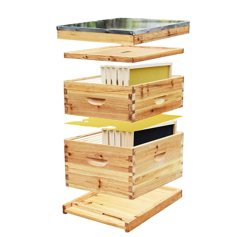 wholesale bee hives beekeeping tools apicultura bee box beehive kit