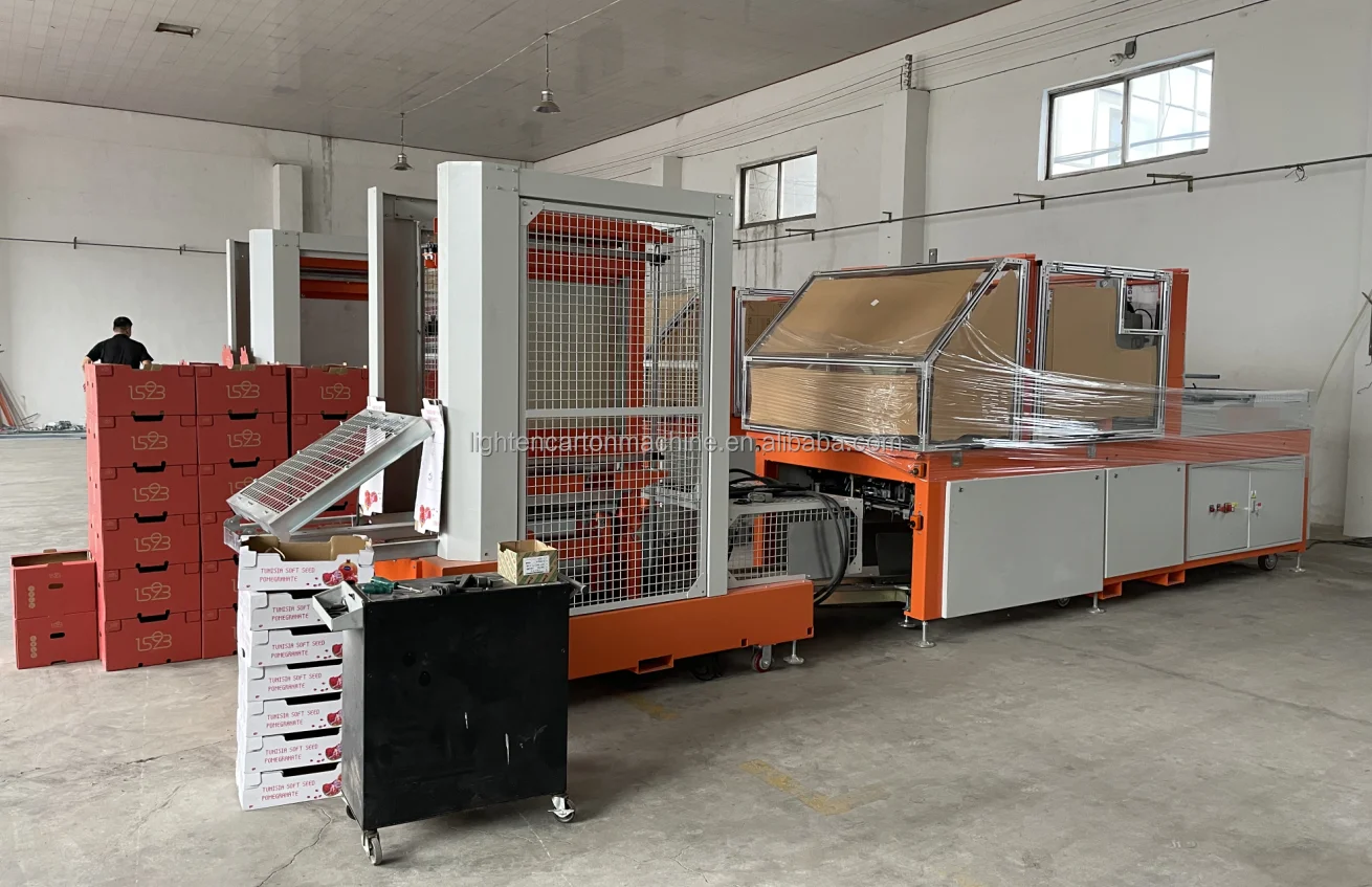 Automatic fruit box forming machine Platform / P 84 /Citrus / Open Column box hot melt gluing forming machine