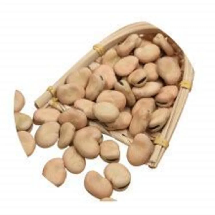 2021crop Dried 0-60 60-70 70-80 pcs Peeled Broad Beans price