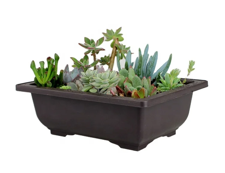 Amazon Ebay Hot Sale china factory wholesale cheap buy maceta para bonsai