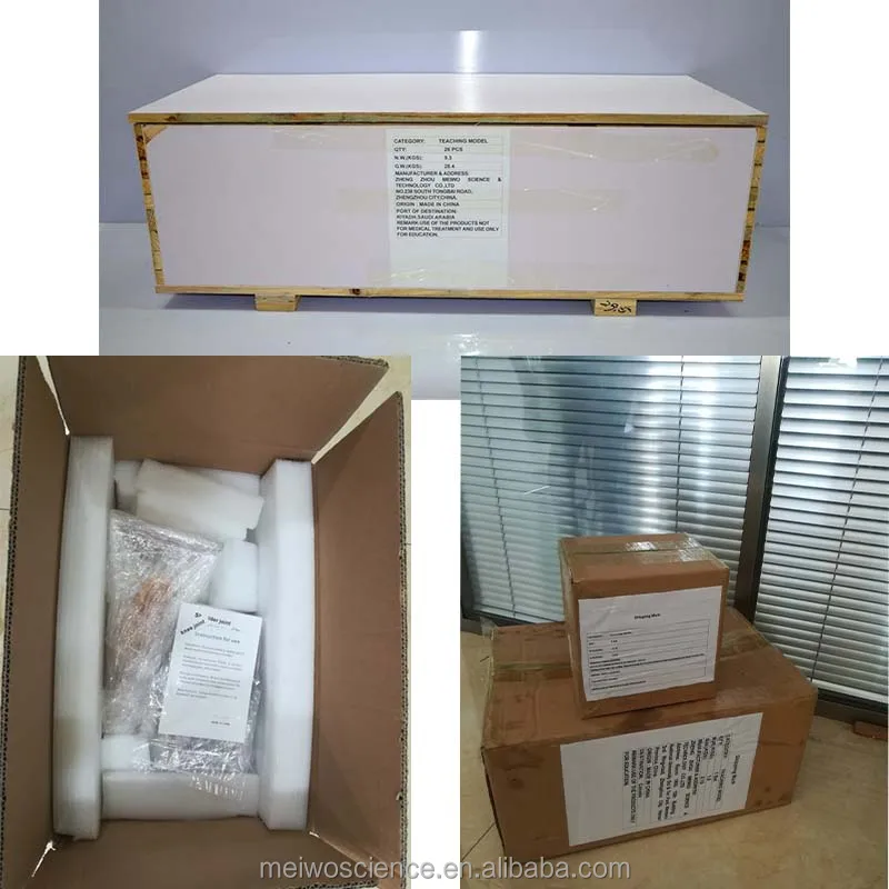 meiwo package.jpg