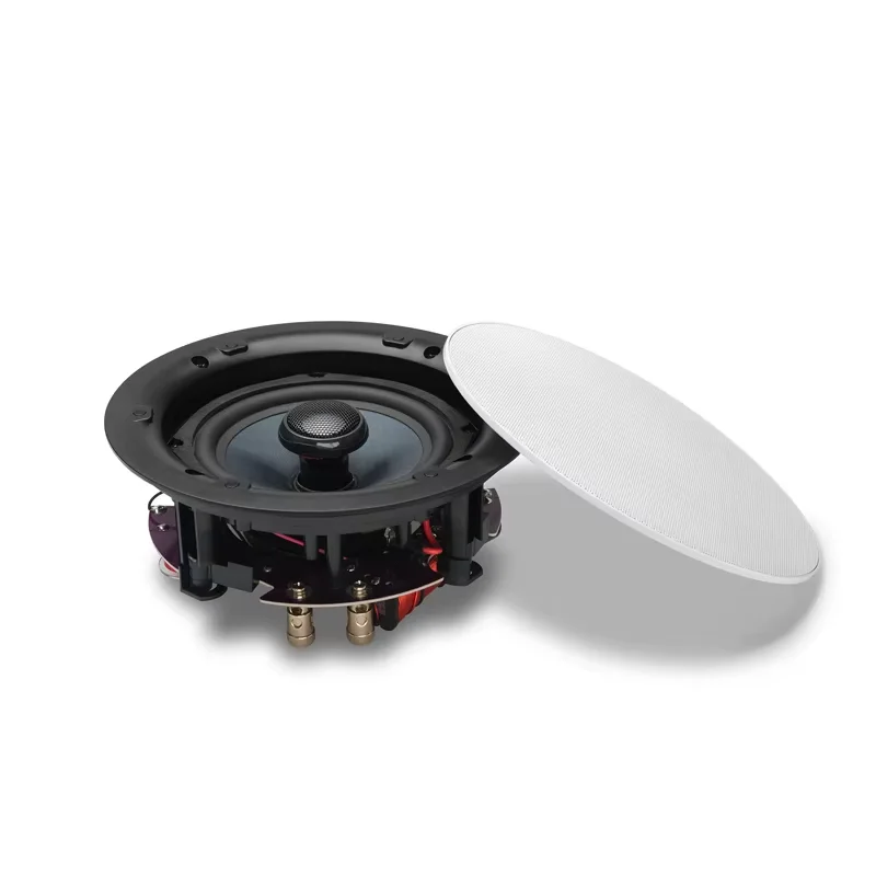 HiVi Swan Hi-Fi VQ 5inch 6inch 8inch In-Wall & Ceiling Speakers Waterproof Coaxial Public Address Speakers color can customized