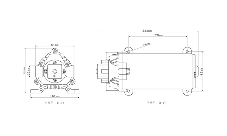 automatic spray pump