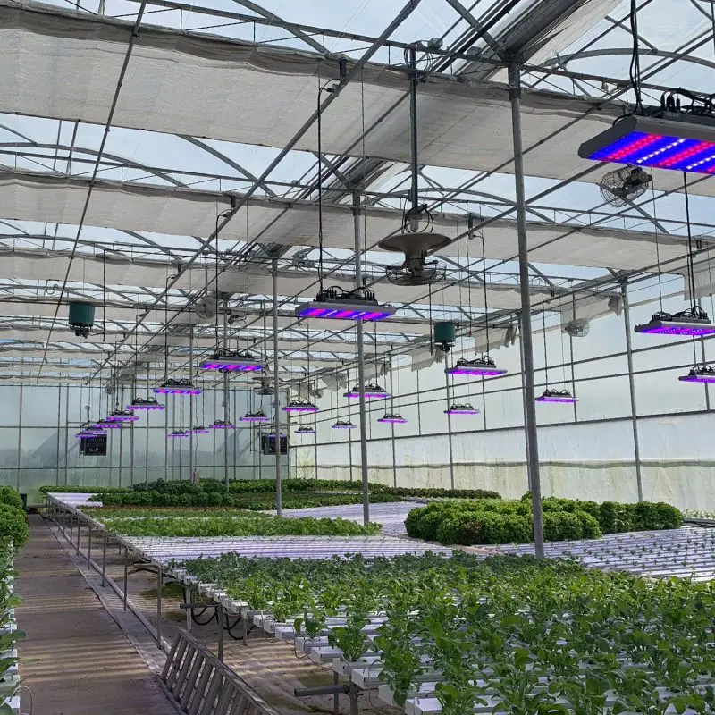 Sansi High PPFD Energy Saving 1000W LED Grow Light with Optical Lens Full Spectrum Plant Light For Grow Tent Seeding Growing