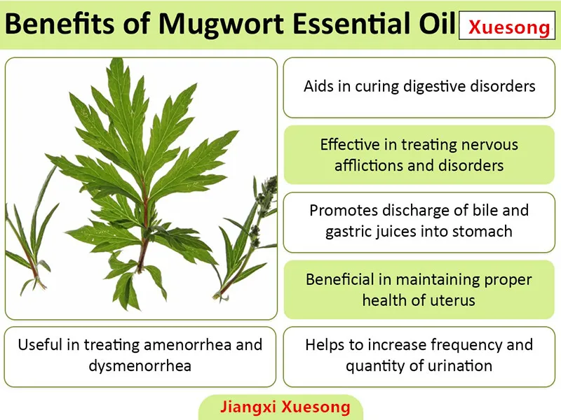 Manufacturer Supply Natural Artemisia Blumea Essential Oil Blumea Leaf Oil Mugwort Oil For Aromatherapy Massage
