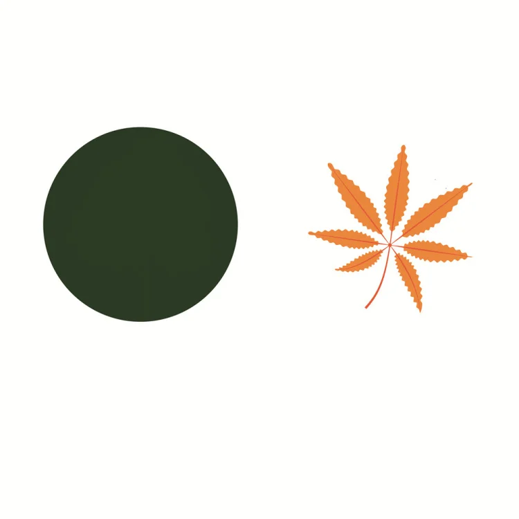 OEM-наклейка с изменением цвета