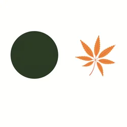 OEM Color Changing Sticker