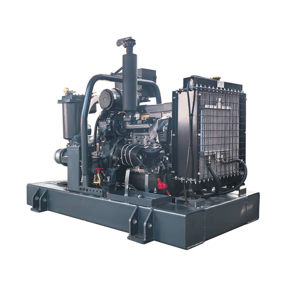 High flow horizontal cast iron diesel engine irrigation pump sewage pump