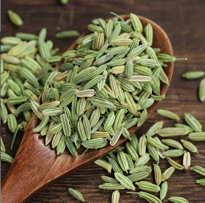 spicy spice Fennel  Supplier Wholesale badian High Quality Fennel Seeds