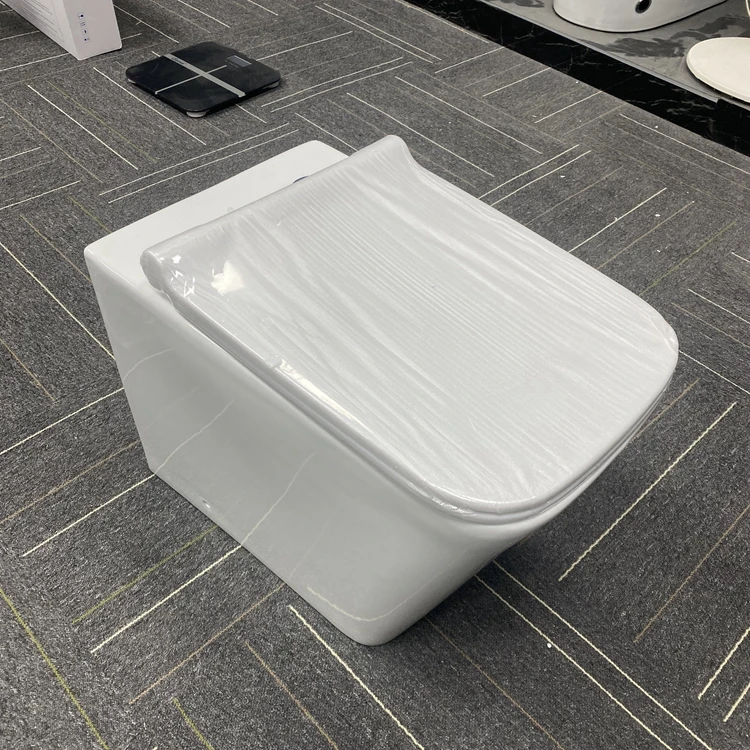 water closet back to wall hung concealed toilet sits bathroom wc