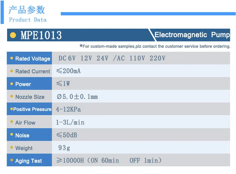 MPE1013