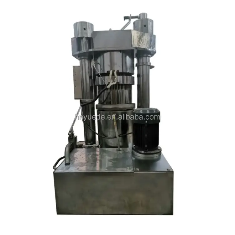 50KG/H Cocoa Almond Sesame Moringa Seed Oil Extraction Machine Oil Press Hydraulic Cold Press Oil Machine