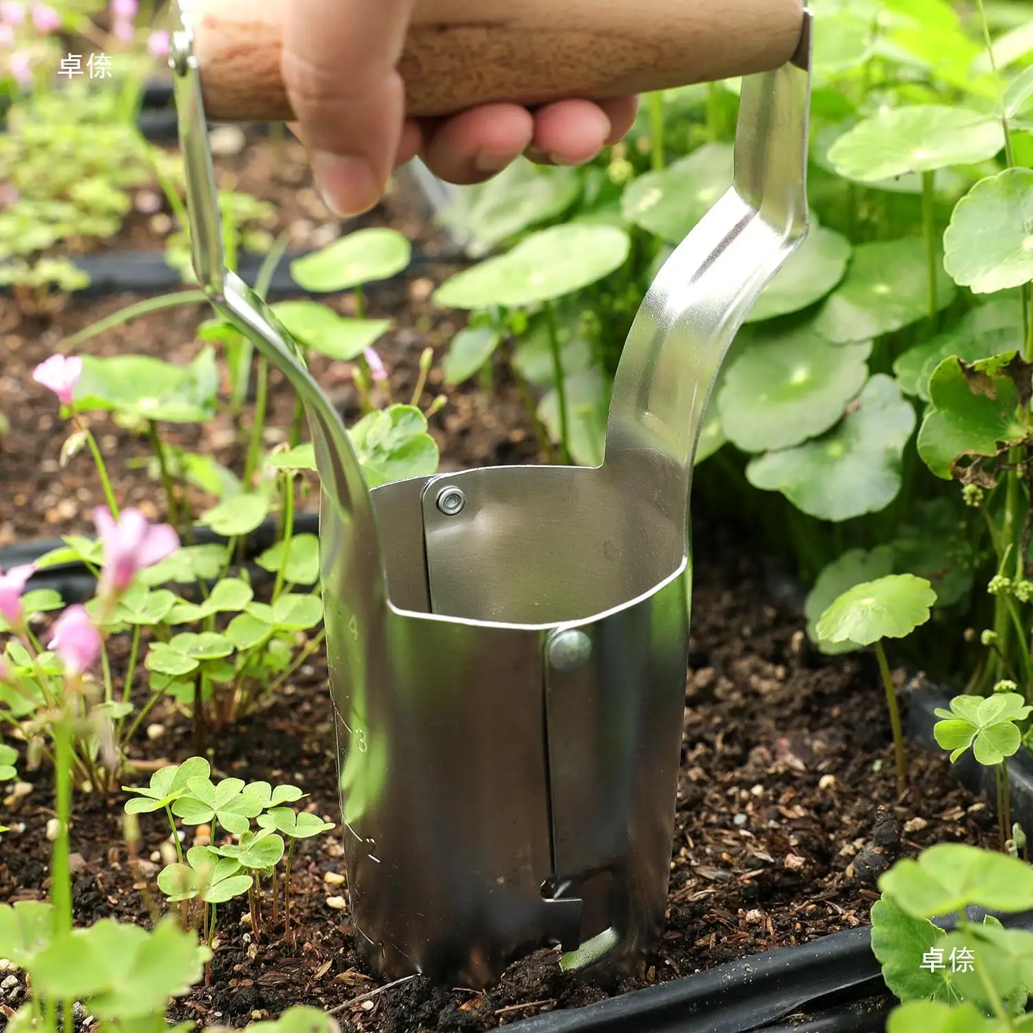 Vegetable Strawberry Garden Soil Release Bulb Wooden Handle Mini Planter seed Transplanting Tool