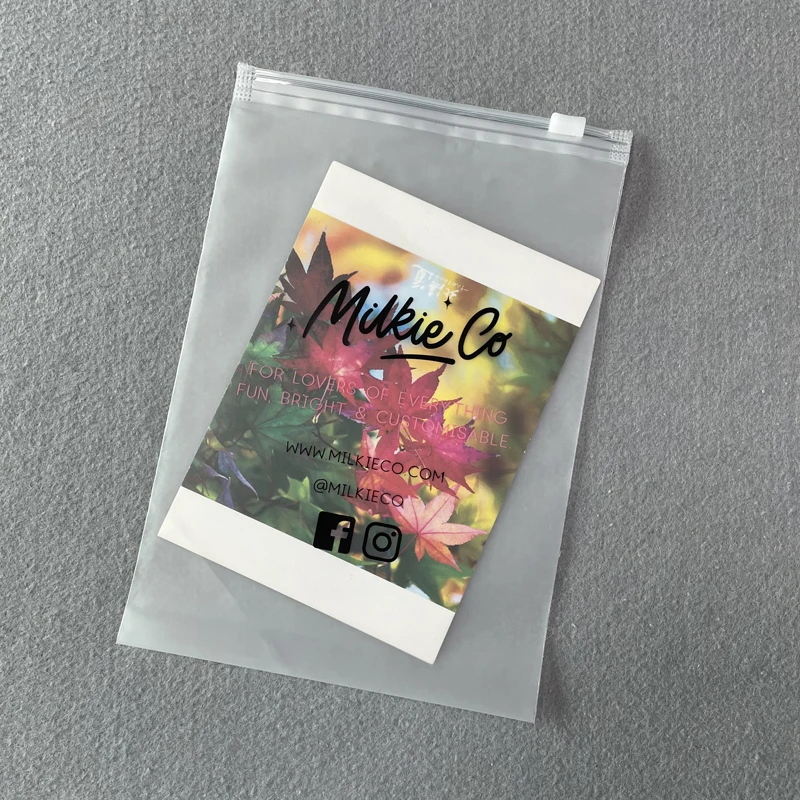 Custom Logo Packaging Plastic Bags For Garment Accessories , Clothing Bags Zip Lock Frosted Bag Clothes Packaged