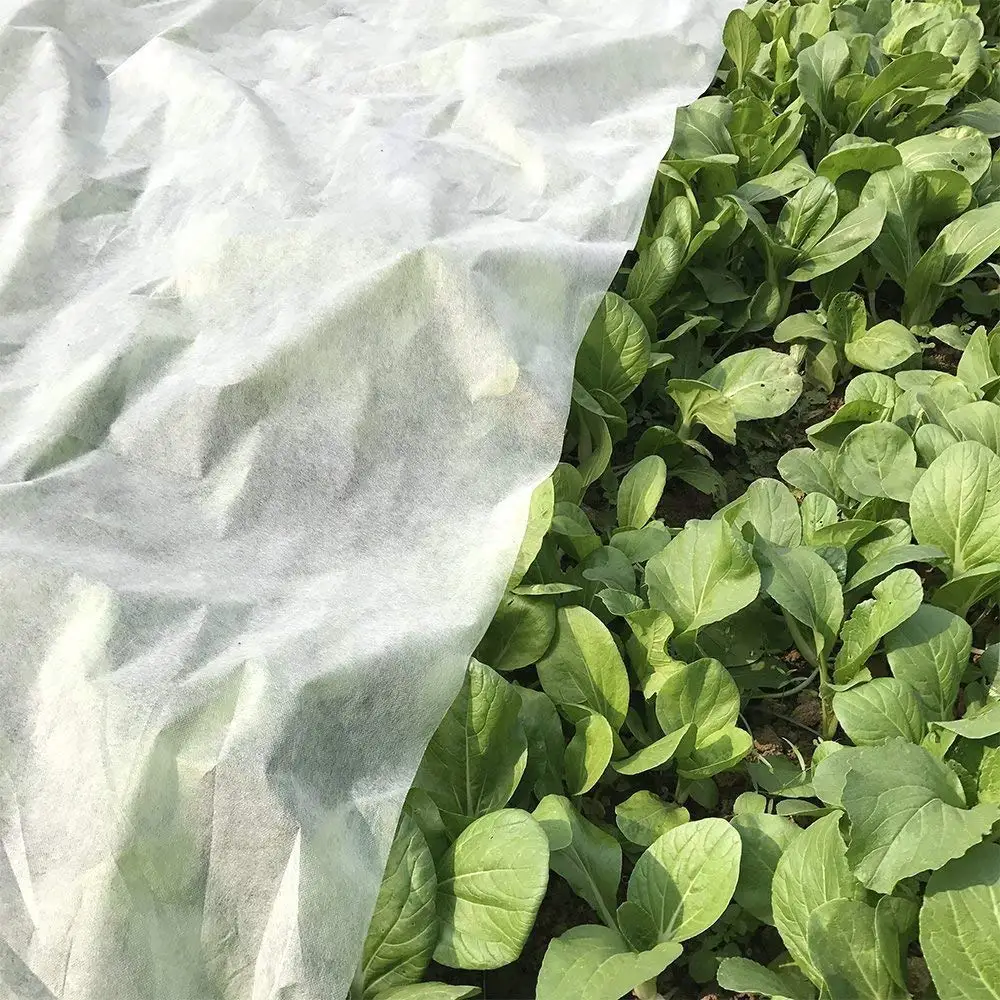 Super wide pp fleece nonwoven ground cover for agriculture crop cover