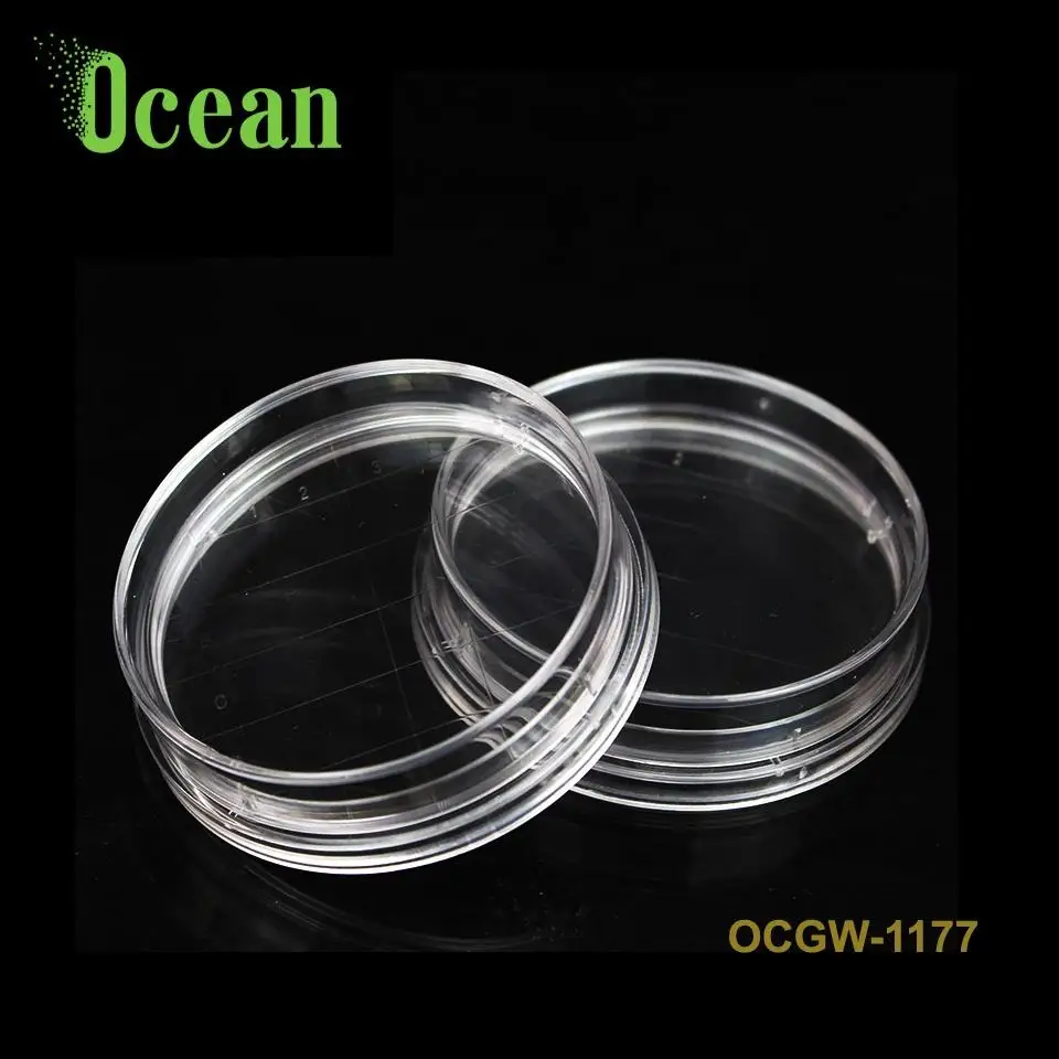 Lab Glassware Sterile Borosilicate  Laboratory Equipment petri dishes for school