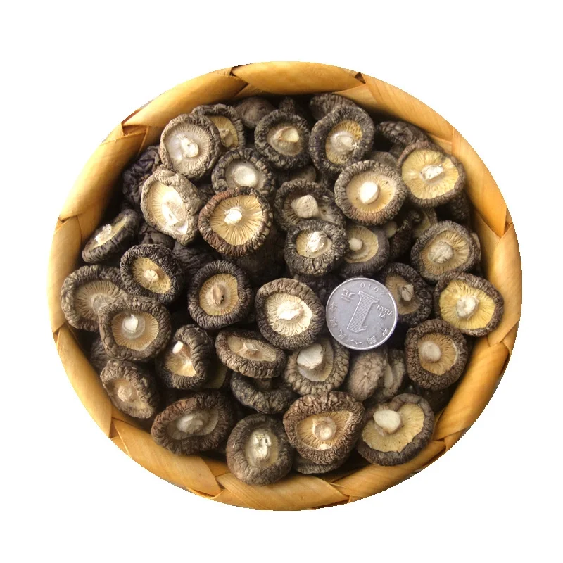 High quality dried shiitake mushroom best seller special for soup dried mini shiitake mushroom