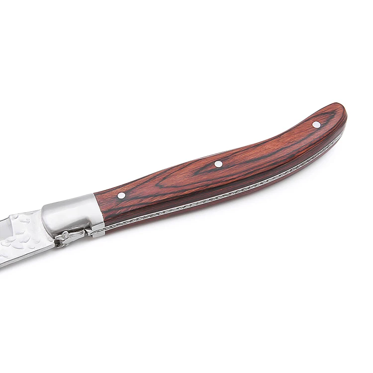 High Quality 4.5' Stainless Steel Steak Knife with Pakka Wood Handle Steak Knives Set