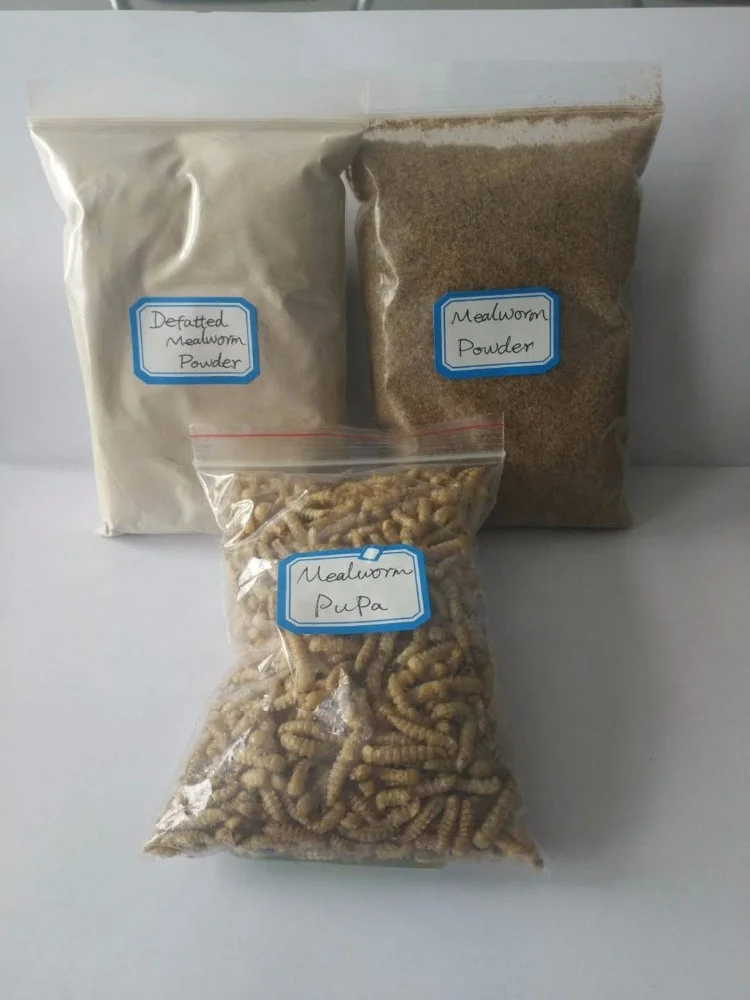 Aquatic Feed Additives Mealworm Oil