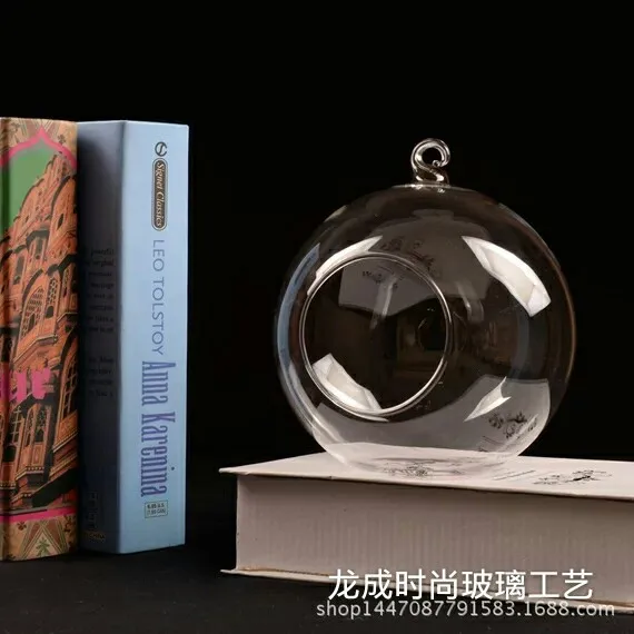 Microlandscape orb glass bottle Iron frame Transparent fleshy moss vase Lighting gardening accessories