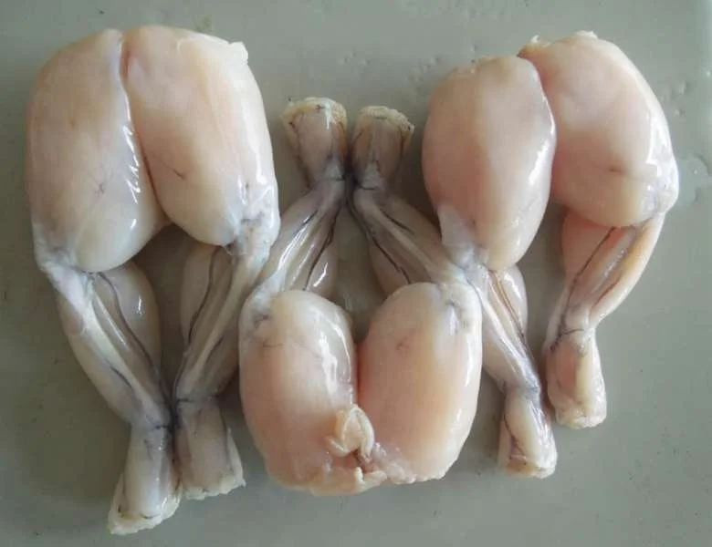 
Frozen High quality Frog Leg for sale 