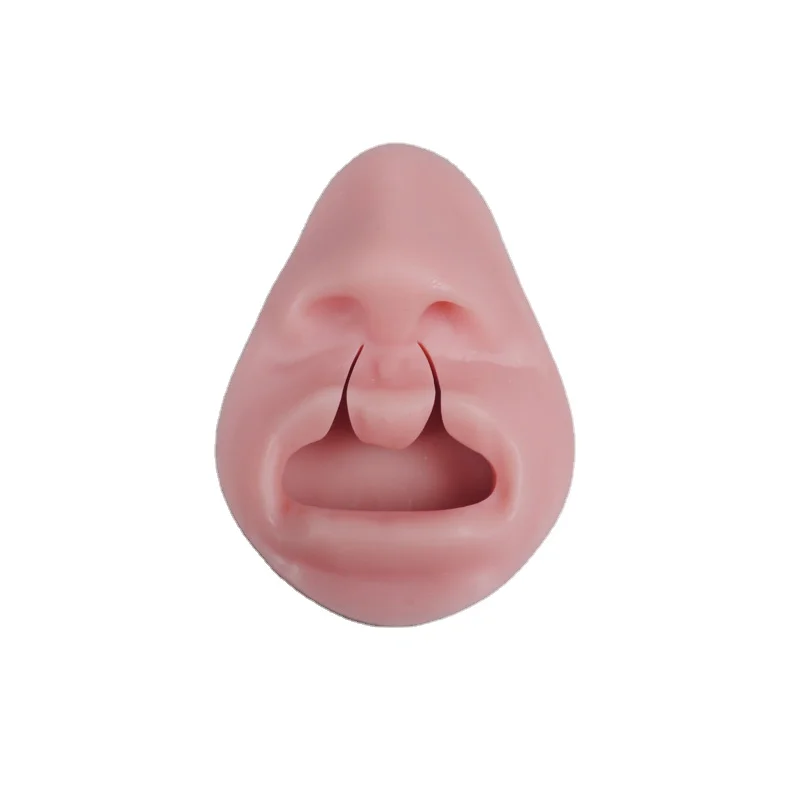 
Professional Teaching Appliance Dental Training Simulator For Cleft Lip And Palate 