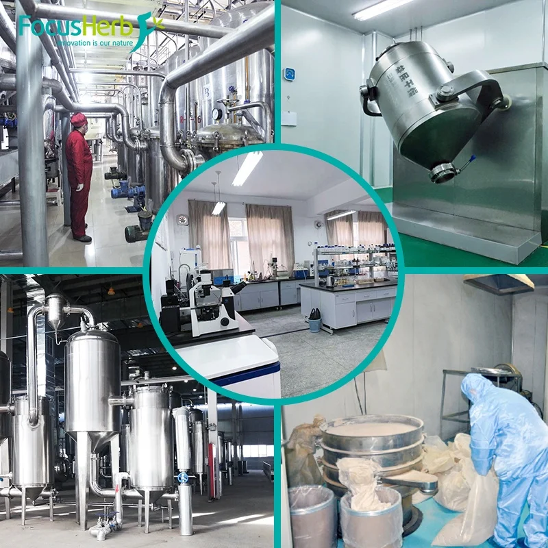  Focusherb Cycloastragenol 5% - 99% Astragaloside IV 0.3% 98% Astragalus